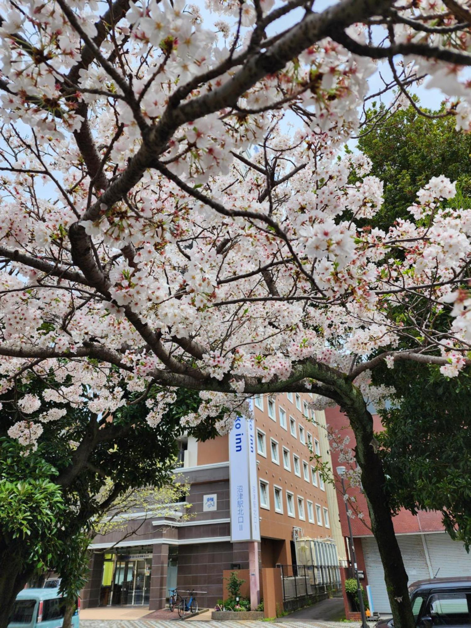 Toyoko Inn Fujisan Numazu Eki Kita Guchi No 2 Bagian luar foto